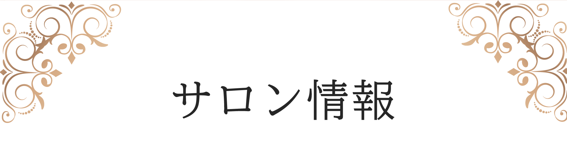 サロン情報